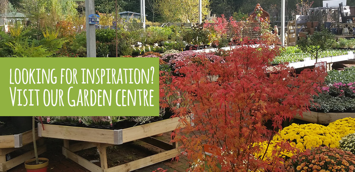 Home Lintzford Garden Centre